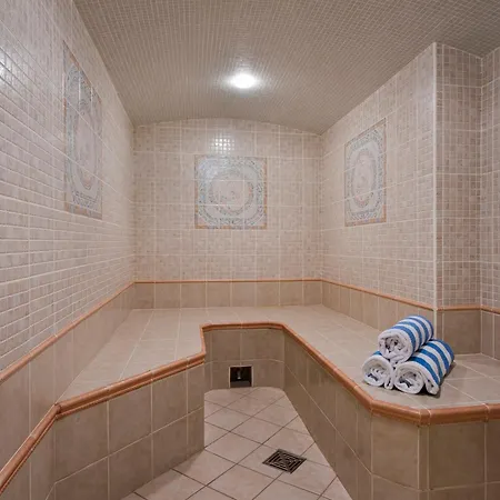 Familial A 1850 Avec Cheminee Et Hammam - Fr-1-575-203 Chalet *